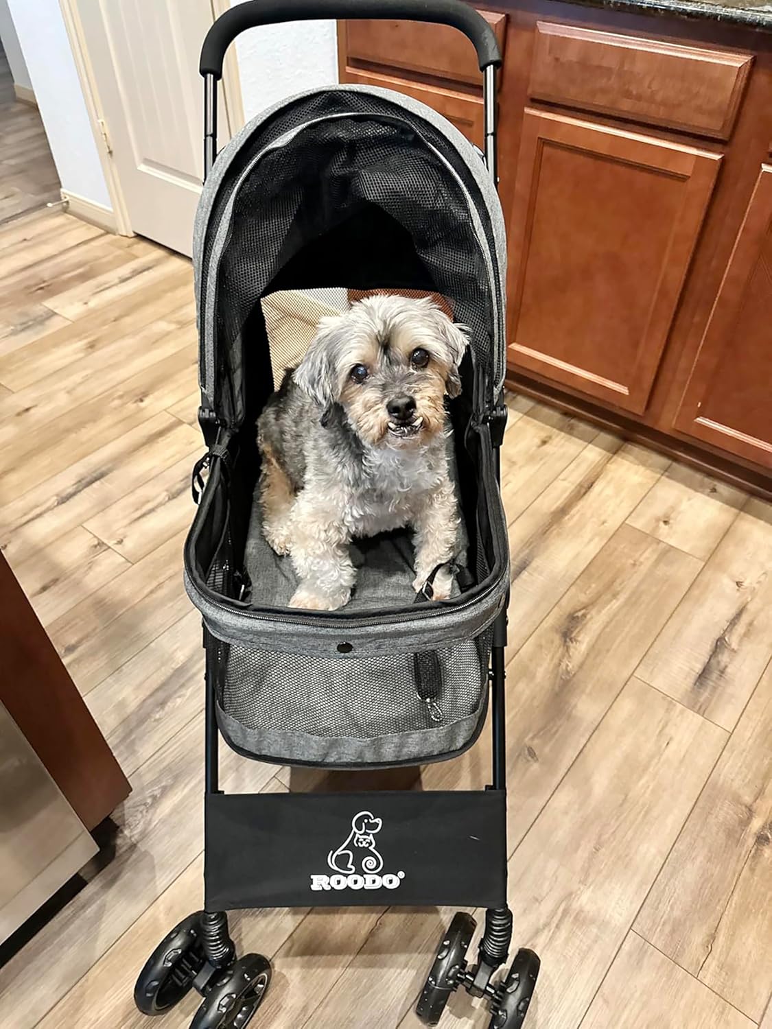 4 Wheel Dog Cat Pet Stroller,  - Foldable Backpack Small incelemesi ve fiyatı
