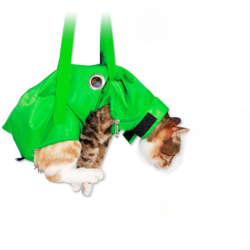 Portable Cat Backpack Pet Summ - Foldable Backpack Small incelemesi ve fiyatı